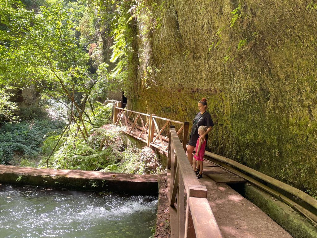 la palma en autocaravana alquilar coche en La Palma