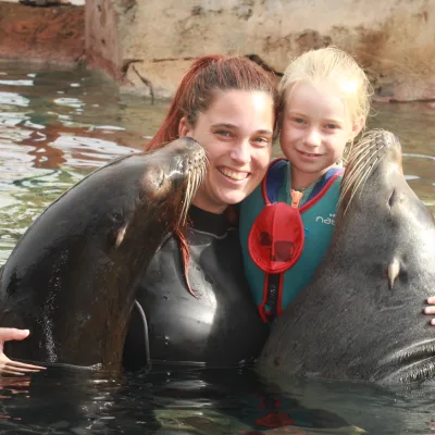 Benidorm en autocaravana