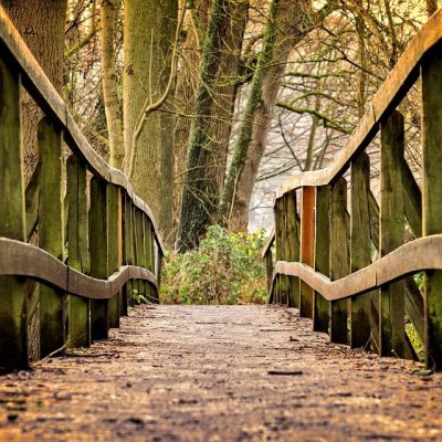 Camino de Santiago: 3 cosas importantes que debes plantearte