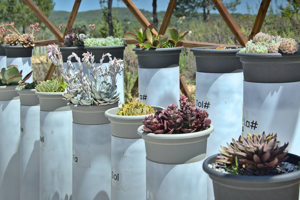 BIBO PARK Ibiza Botánico Biotecnológico