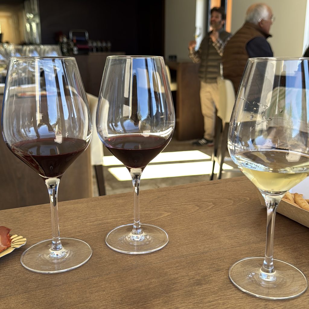 bodega Señorío de Nevada bodega vinos