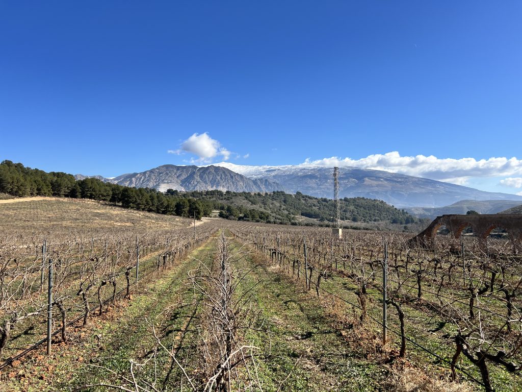 Hacienda Señorío de Nevada 