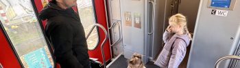 trenes brujas Bélgica bruselas omio codigo descuento fiable trenes buses opiniones