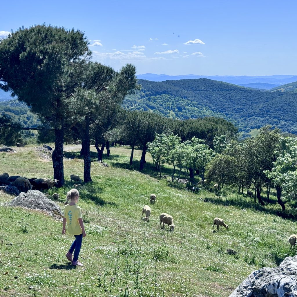 Calera de león a en autocaravana pueblos magicos españa extremadura badajoz