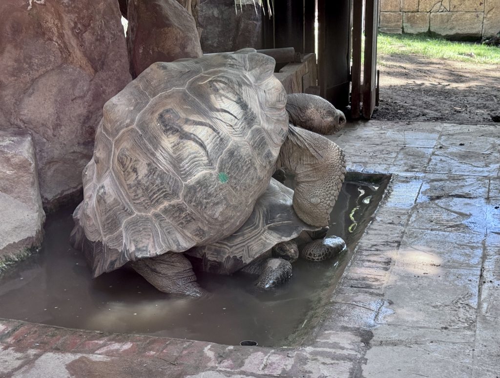 entradas bioparc fuengirola