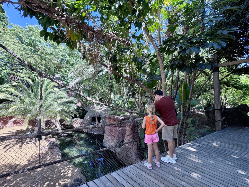 entradas zoo bioparc fuengirola malaga