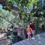 entradas zoo bioparc fuengirola malaga