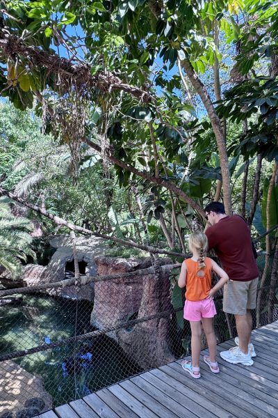 entradas zoo bioparc fuengirola malaga