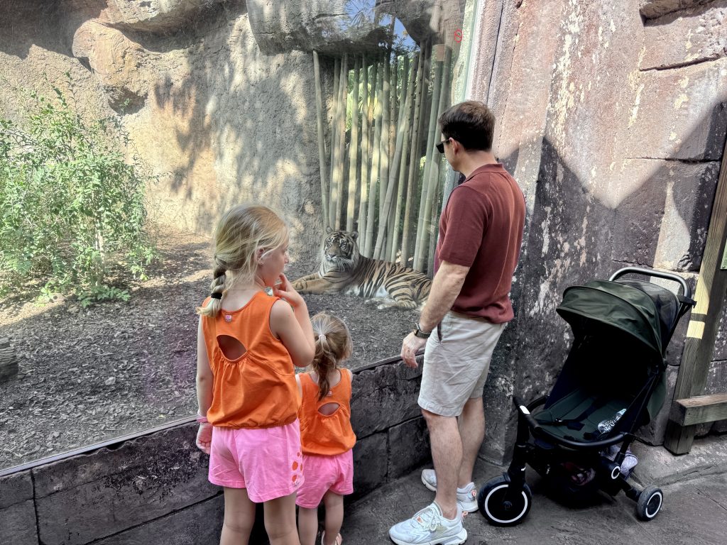 entradas bioparc fuengirola