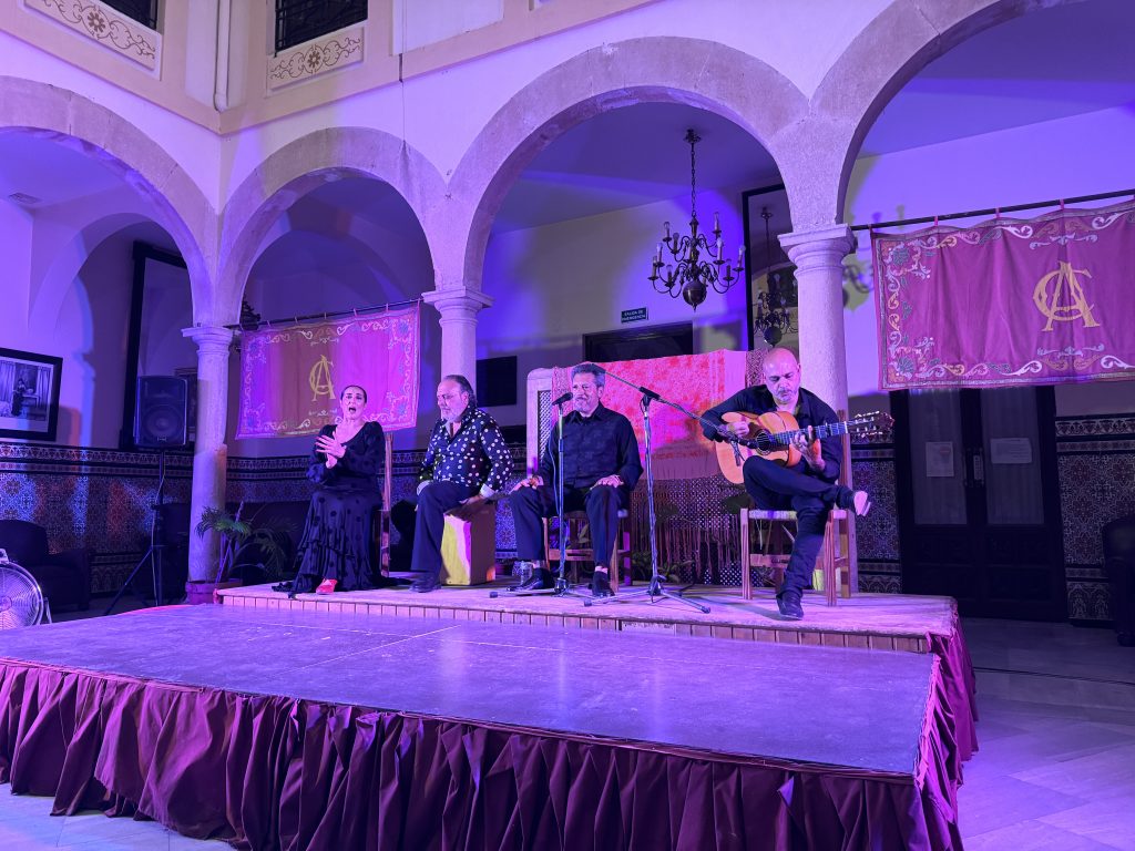 QUE VER EN RONDA PUEBLO MALAGA