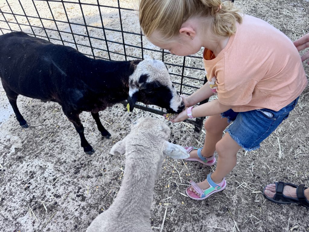 La Algaba de Ronda qué ver málaga