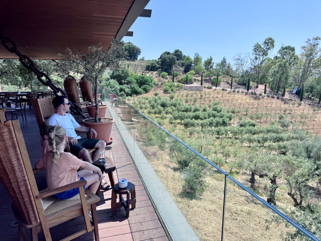 QUE VER EN RONDA PUEBLO MALAGA LA ORGANIC