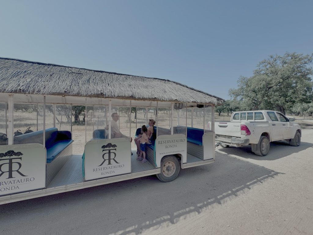 QUE VER EN RONDA PUEBLO MALAGA reservatauro