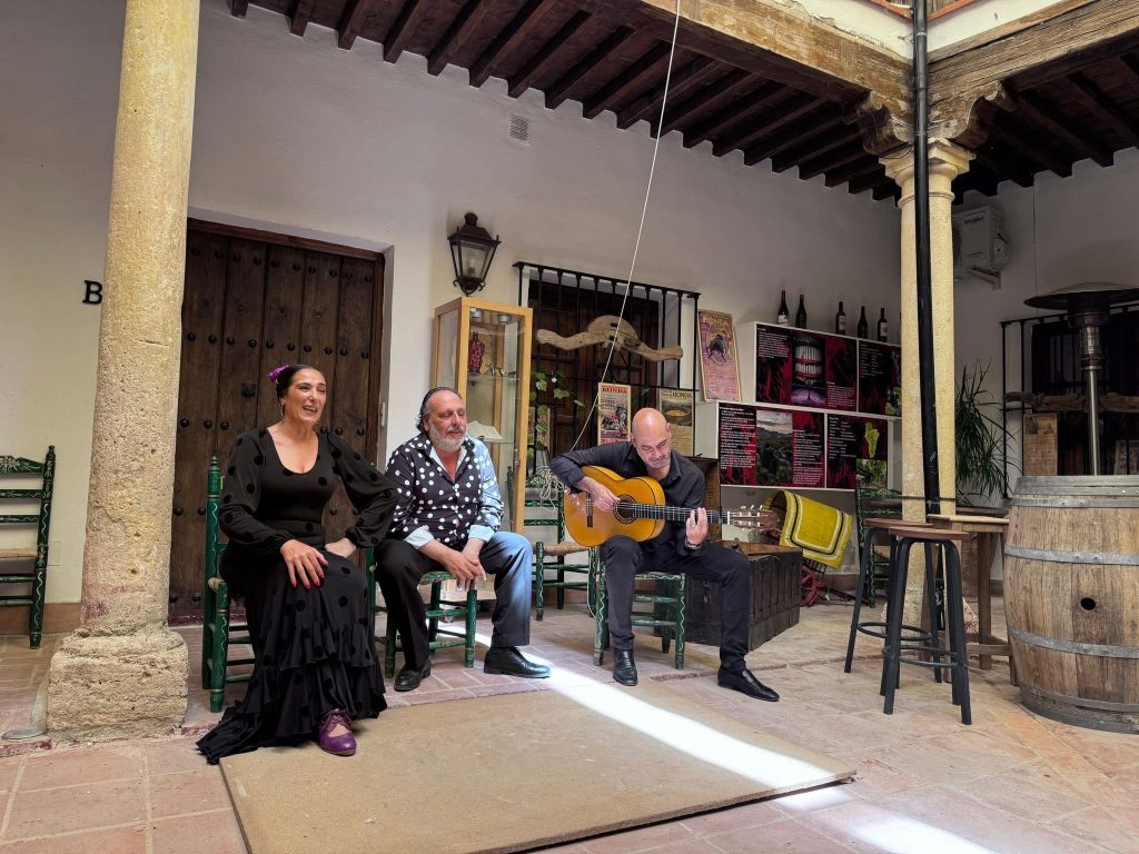 Que ver en Ronda pueblo malaga Andalucia