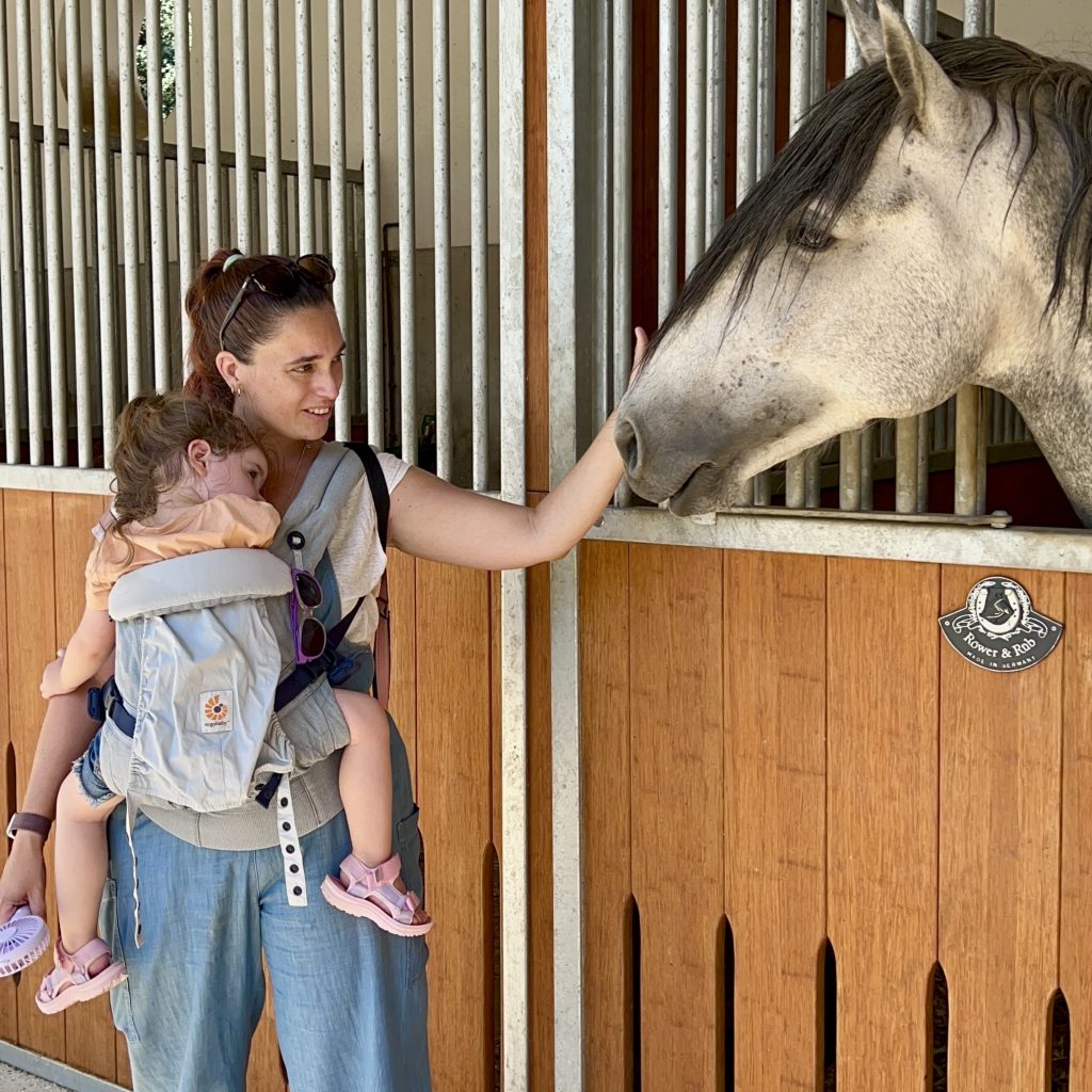 QUE VER EN RONDA PUEBLO MALAGA reservatauro