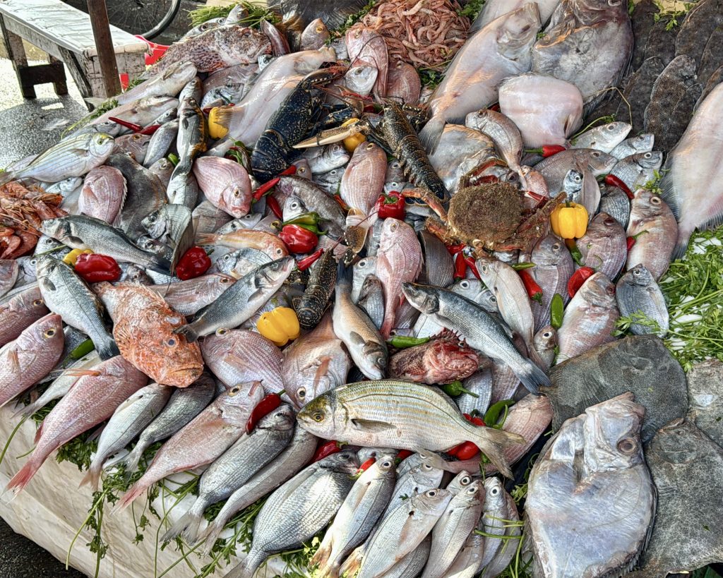 Essaouira marruecos en autocaravana