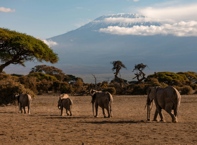 kilimanjaro tanzania