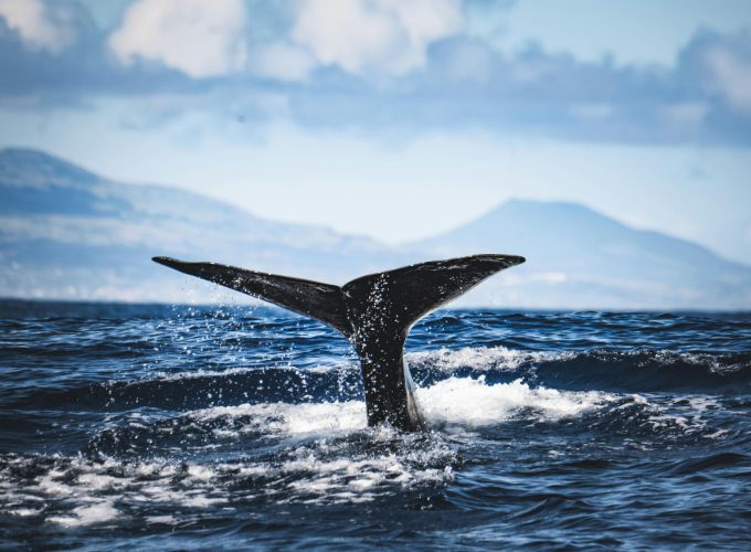  Noruega en autocaravana