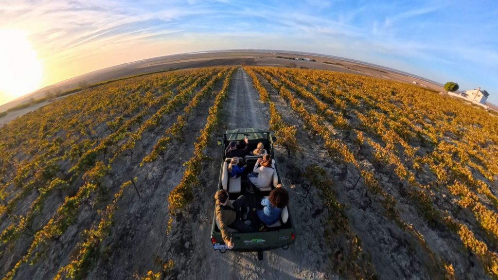 trebujena tiempo autocaravana cadiz bodegas piraña