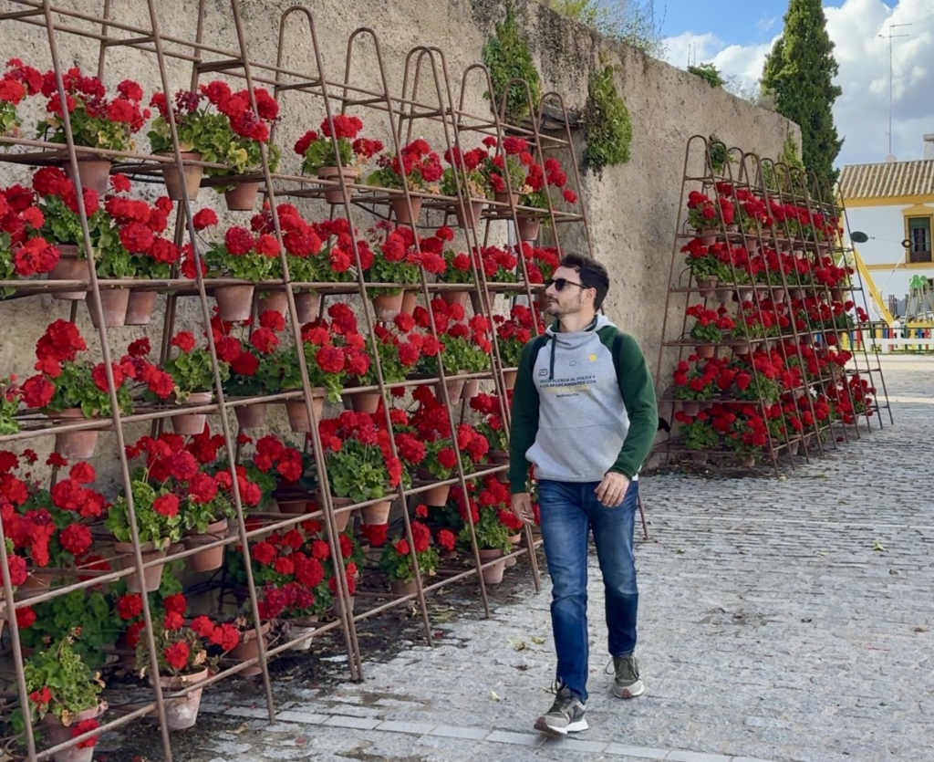 Qué ver en Palma del Río